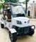 Гольфкар GreenCamel Сонора A40 New (4 seats 2500W 225/40-10' литые)